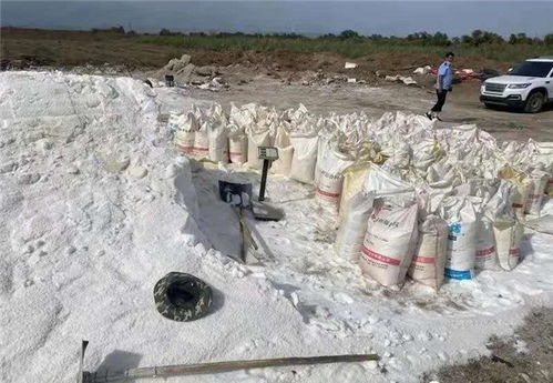 假鹽泛濫，五百余噸地下鹽場被摧毀