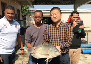 2019年海上絲綢之路國家水生動物健康管理及檢驗(yàn)檢疫研修班項(xiàng)目圓滿落幕，成果豐碩助力畜牧漁業(yè)飼料銷售市場拓展