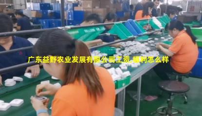 廣東益野農(nóng)業(yè) 領(lǐng)航畜牧漁業(yè)飼料銷售，助推現(xiàn)代農(nóng)牧業(yè)發(fā)展